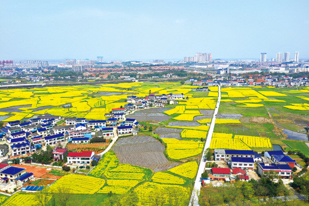 湖南一大学建造新校区，直接落户“小县城”，当地考生拍手叫好