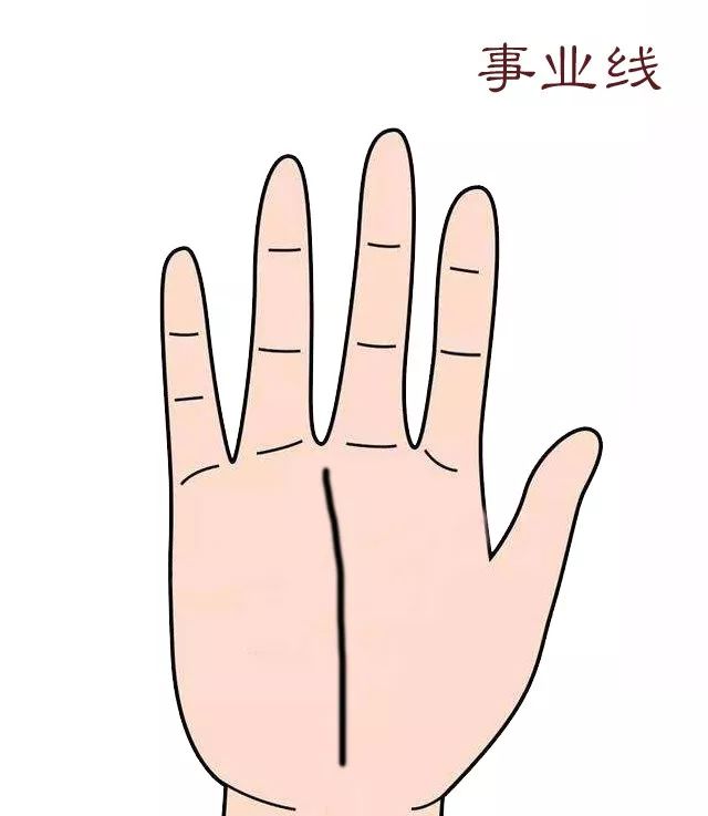 《三机论手》手掌上代表一个人运势的纹理，你都认识吗？