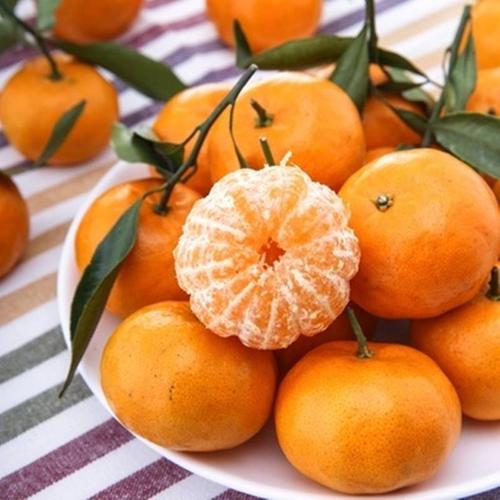 不止抢红包、集五福，保留至今的拜年方式，你见过哪些？