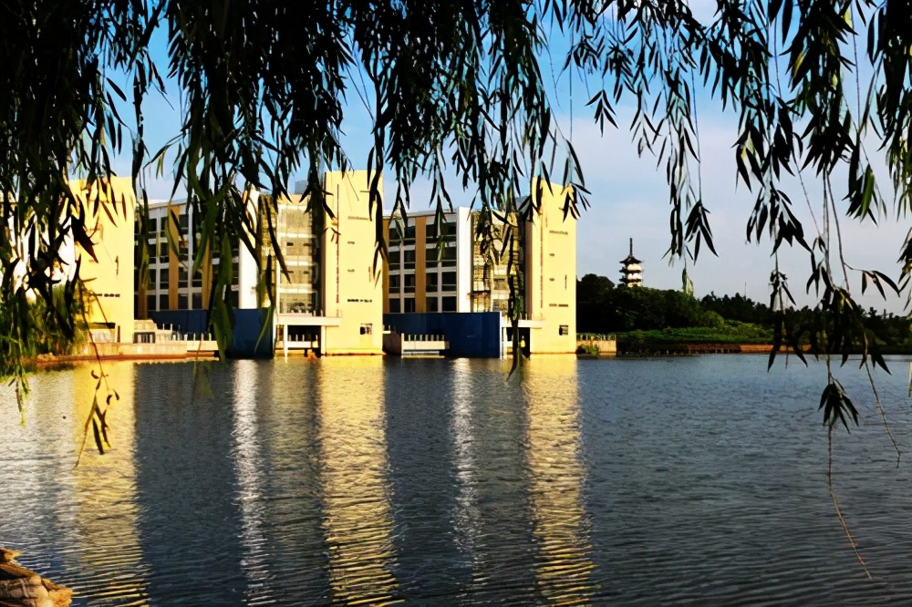 浙江迎来两校合并？官方已有明确回应，网友：校名容易被友军误伤