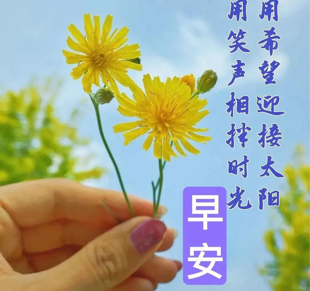 早安吉祥：周末了，记得好好放松自己，享受生活，早安