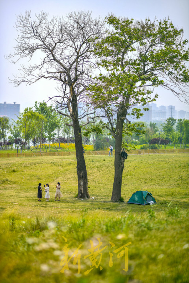 华山旅游景点(济南华山风景区三棵树成网红打卡地，你来过了没？)