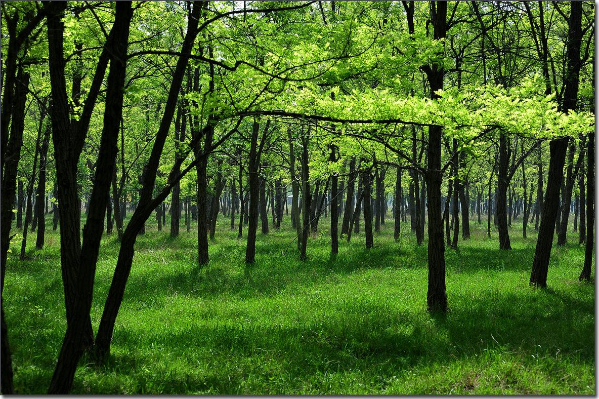 我父亲在选房址的时候,看中了一处小山坳.