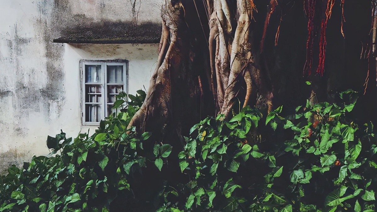 有一种旅行，叫去老街走一走