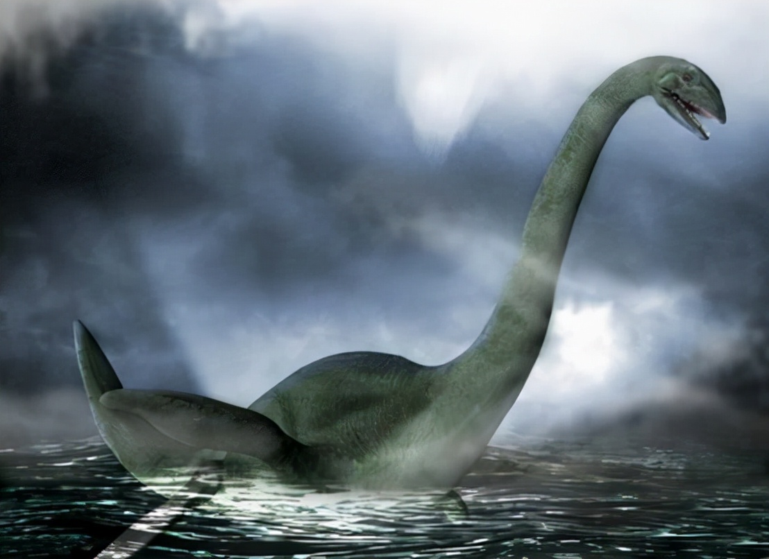 水怪之谜(长白山天池出现"水怪",仅脖子就有1米长,这到底是什么生物?