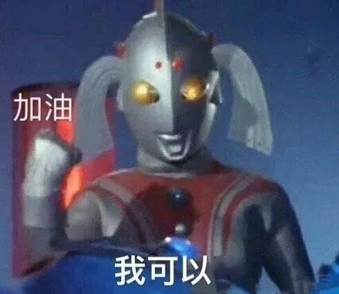 如何彻底祛除猫咪尿骚味？4步教你轻松消灭气味炸弹