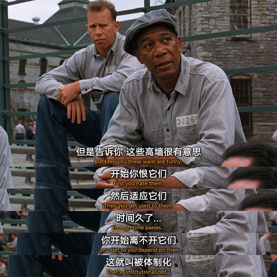 肖申克的救赎专业影评刷了20多遍