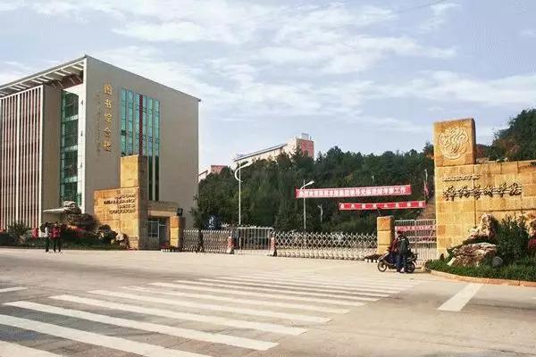 四川艺术学院（四川文化艺术学院发布2020年招生简章）