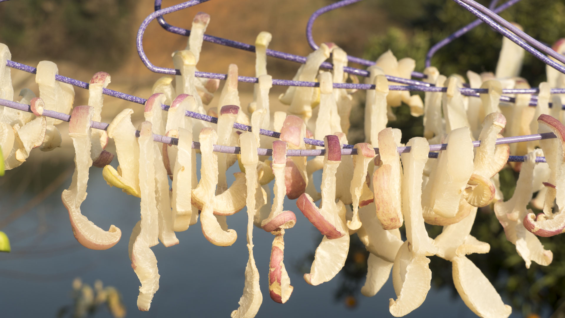 秋天萝卜最养人，教你10道好吃做法，润肺化痰，补气顺气身体好