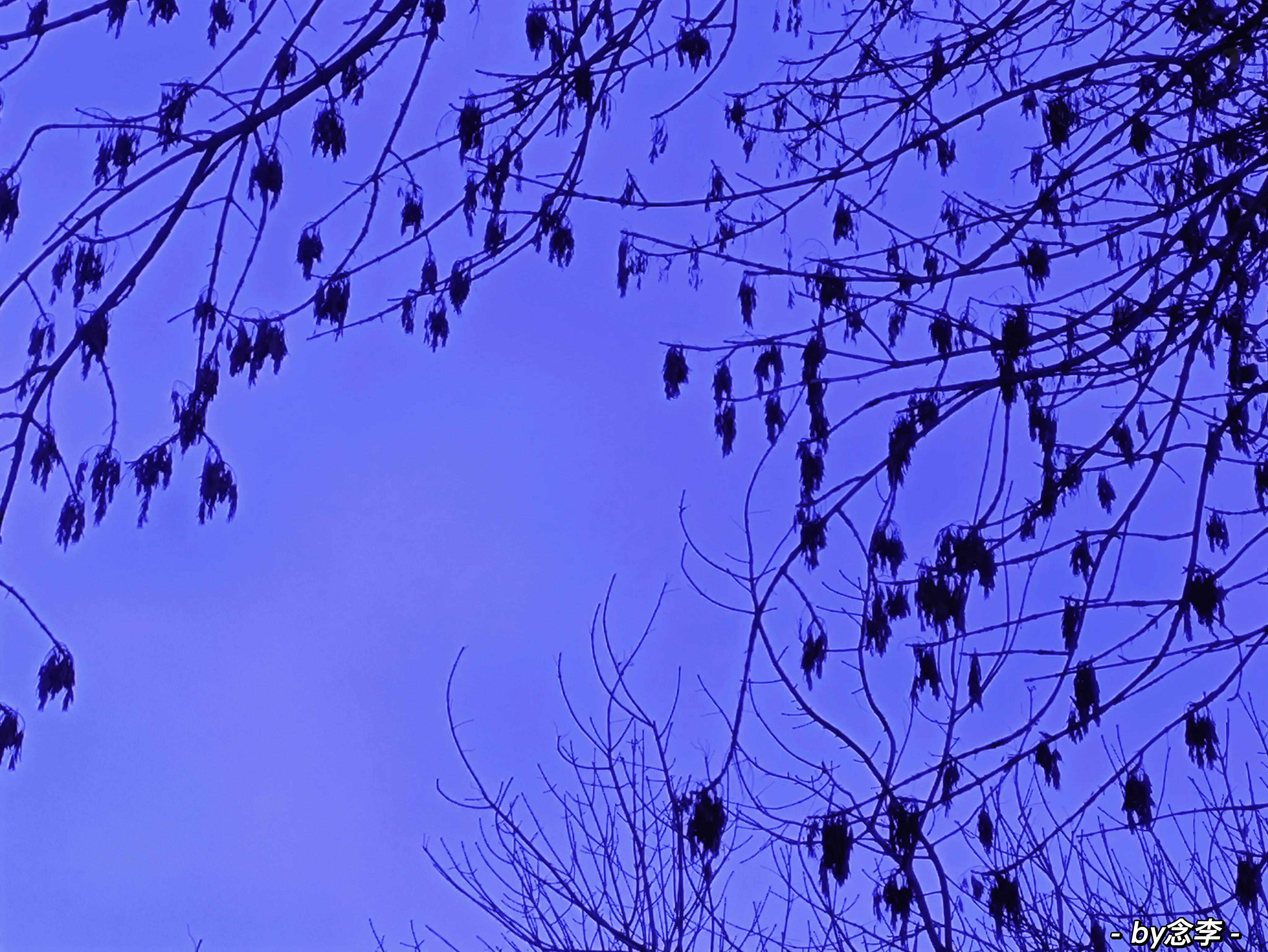 紫色的含义你知道吗？身边有喜欢紫色的人一定要注意了