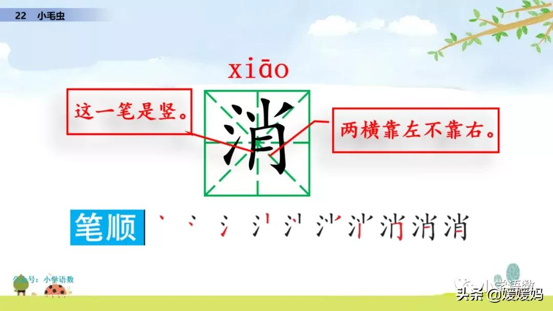 二年级下册语文课文22《小毛虫》图文详解及同步练习