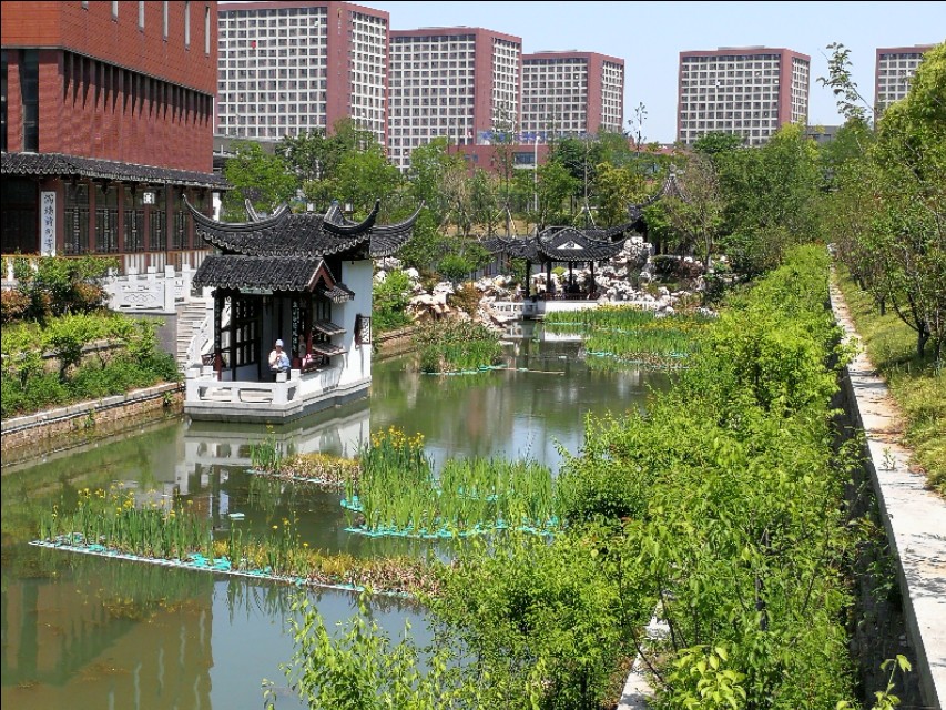 这里不仅有大树、高楼，更有大师——带你参观南京大学仙林校区