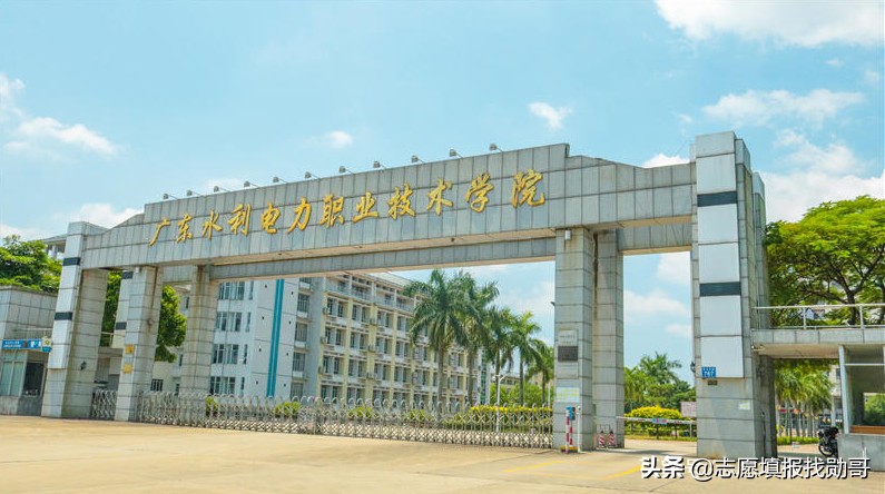 河北2021新高考，专科数据乱了！这样填志愿，好机会来了