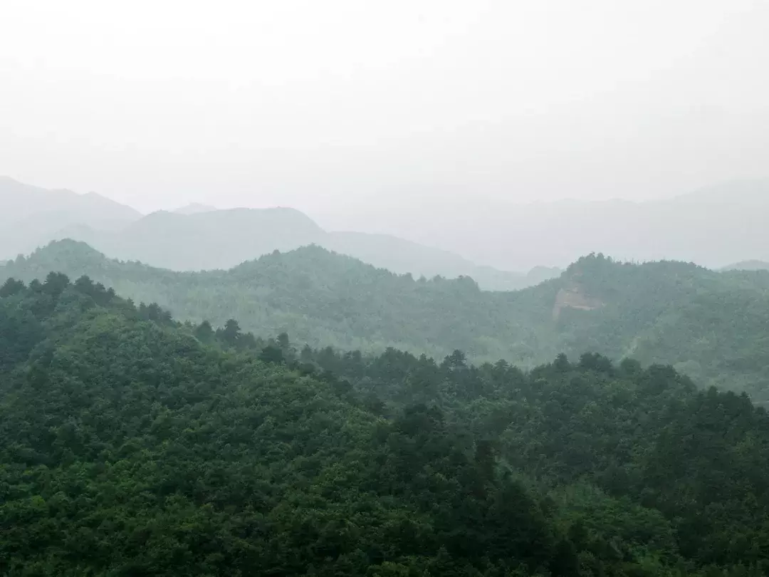 身临其境天水·麦积山 I 中国四大石窟之一：穿越千年的空中佛阁
