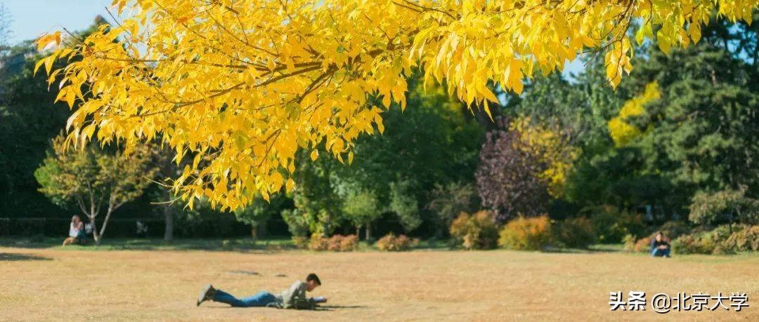 独家限定！北大赏秋地图来了