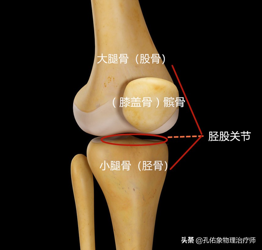 大腿根内侧痛是怎么回事(膝关节疼痛的元凶是什么)