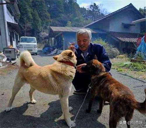 福岛核泄漏后变异女人(唯一生活在福岛核辐射区的人，独自喂养变异动物6年，如今怎样了)