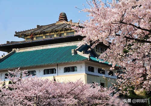 分数线丨武汉大学2019年各省录取分数线！