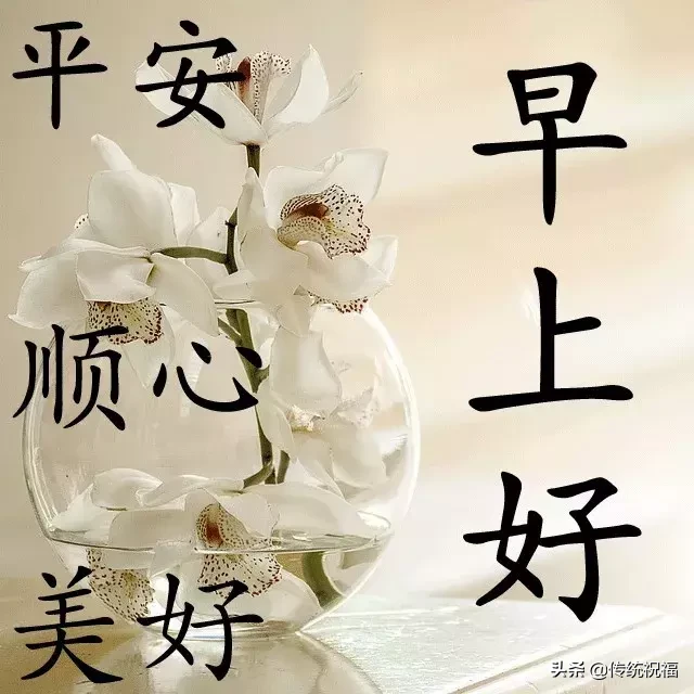 每天早上好的问候语及关心话 早上好的句子