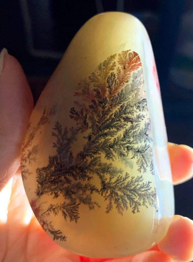 巴林石独有的水草花,猜猜价值几何?