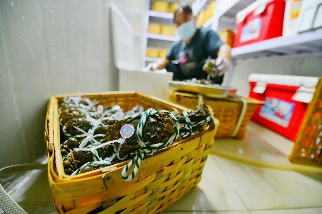 皇家贡品、稻田养殖、吃营养餐长大，大闸蟹内卷花样多