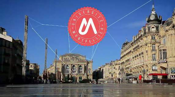 哪些海外院校EMBA项目值得读？走进法国TOP10名校蒙彼利埃大学