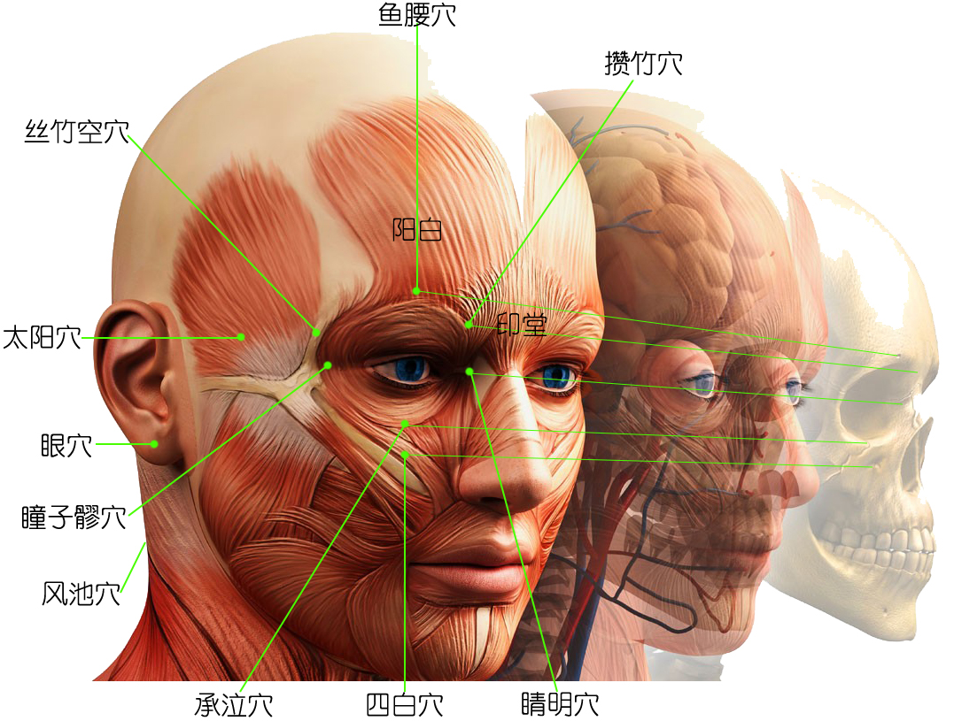 保健指南︱眼保健操——当年你都认真做了吗？