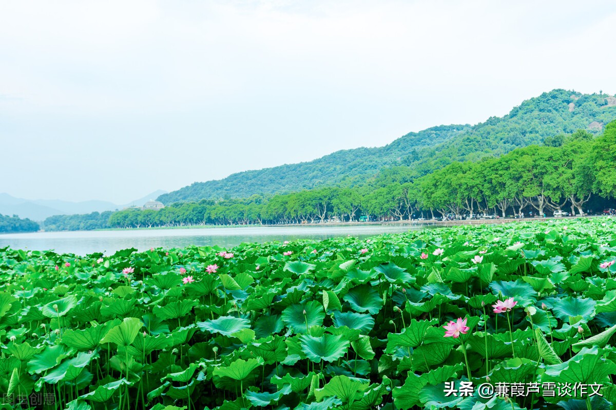 造物无言却有情，缤纷世界我描绘——阿宝老师的作文经（一三七）