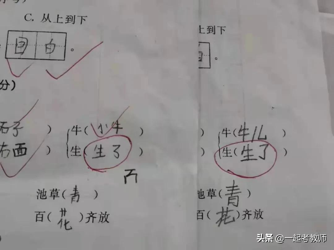 细数语文老师崩溃的瞬间，是你吗？其他学科老师直呼：感同身受