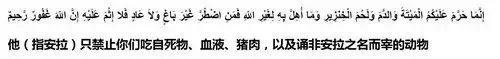 回民不吃什么东西(伊斯兰信徒为何不吃猪肉？这才是最正确的解读)