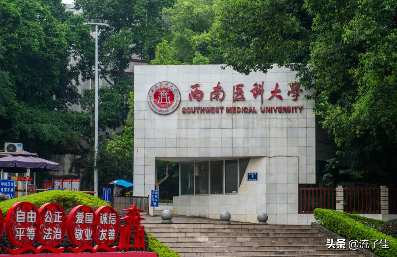 四川考生282分被西南医科大录取，家长开心，网友：能毕业吗？