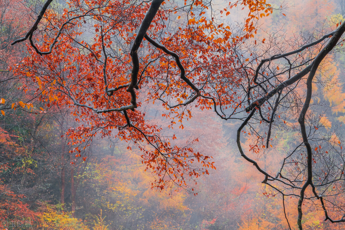 10月这12个颜值高地，已补好了妆，将向世人“卖弄”最美一面