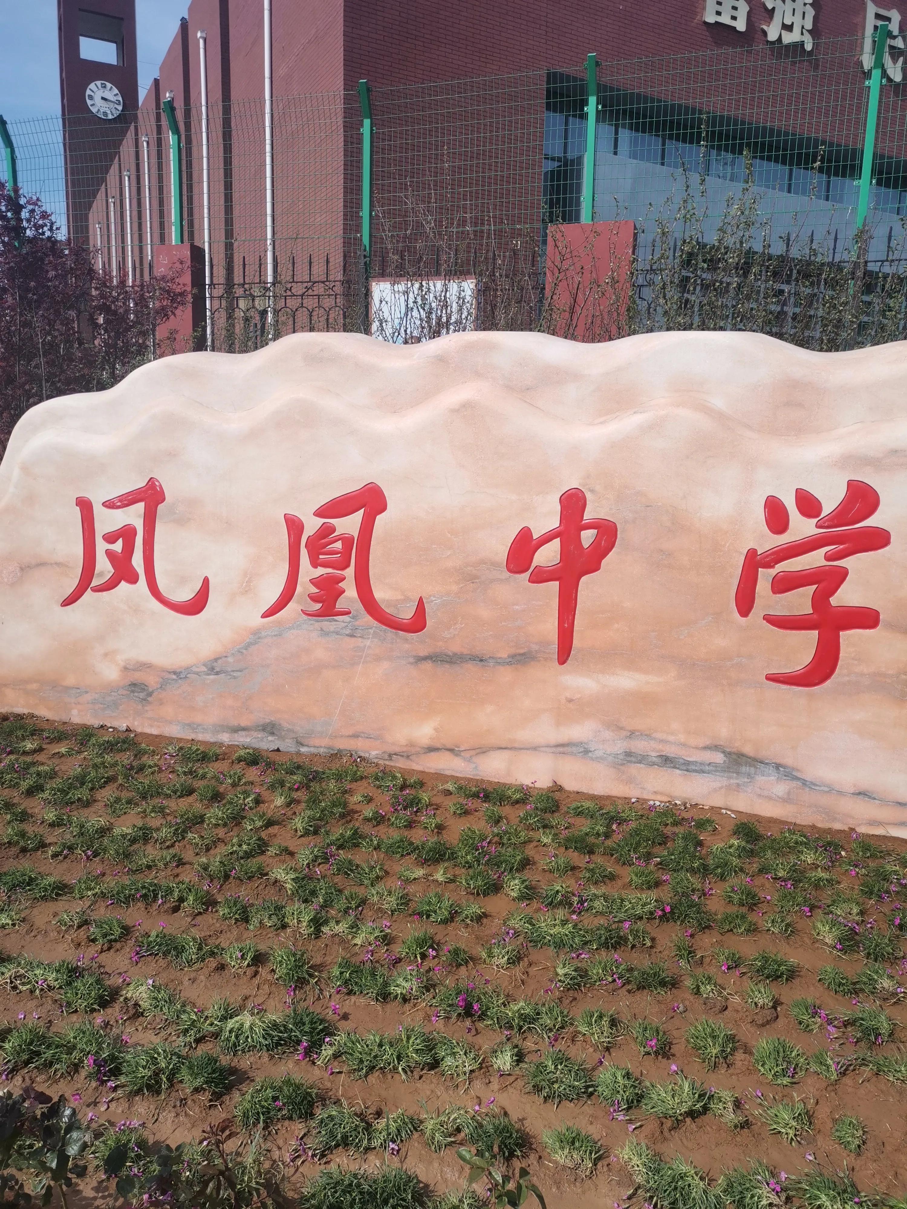 今年唐山市区中考各个学校表现如何？民办中学怎么样？具体看看