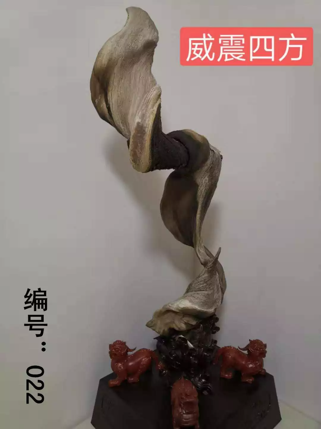 ãååãæ ¹éé¢å¾è¯ï¼åé¦ï¼