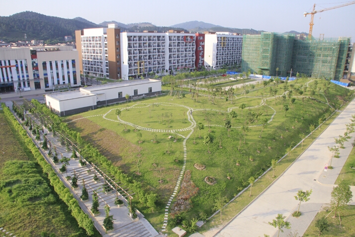 广西艺术学院对文化要求不高，2021年艺术类录取分数线分析