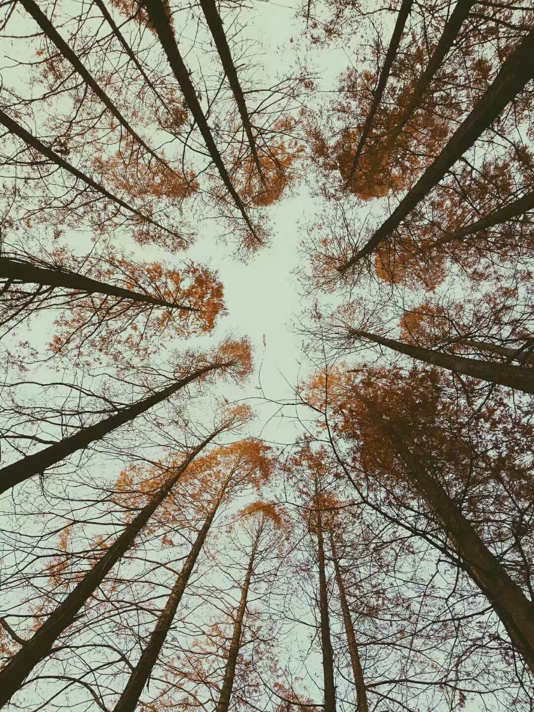 散文：心有阳光，必有诗与远方；心中有暖，何惧人生苍凉