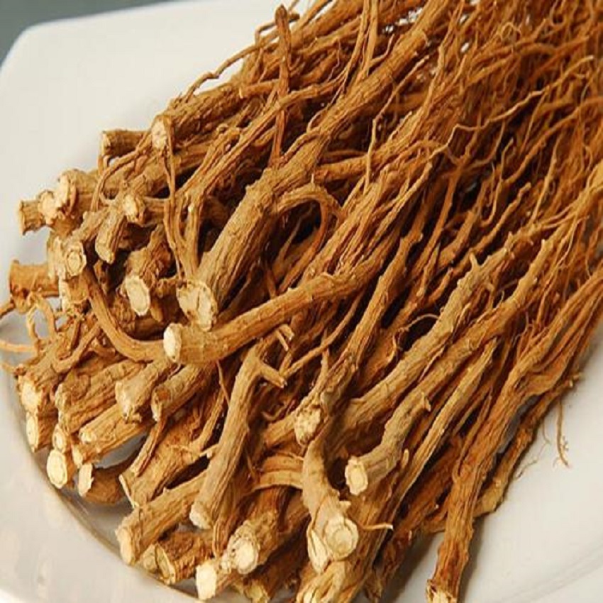 柴胡的人工栽培:掌握高产套种模式,实现药粮双丰收