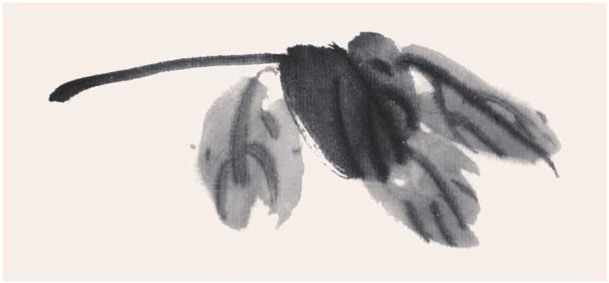 国画知识：常见的五种叶子画法步骤图解，简单易学，小白也能学会