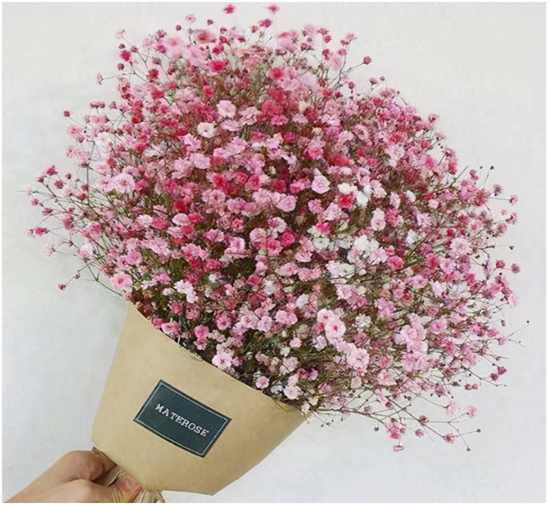 发关于满天星的说说(收到满天星发朋友圈的说说) _晶羽文学网