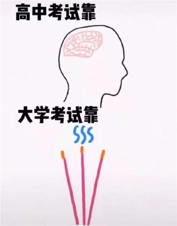 高中和大学的不同之处，几张图片精准概括，可以说是很形象了
