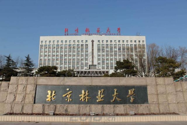 抹去曾经的校史、两地分开办学……八大学院的结局令人感慨