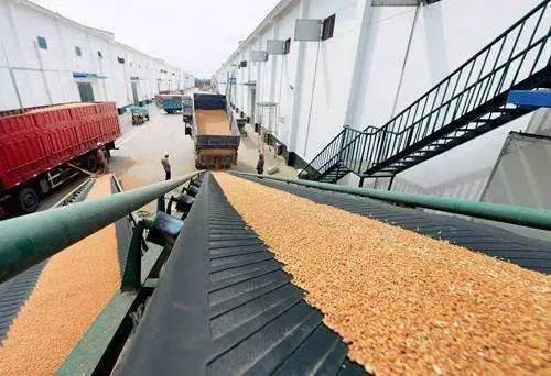 “大国粮仓”究竟存了多少粮？