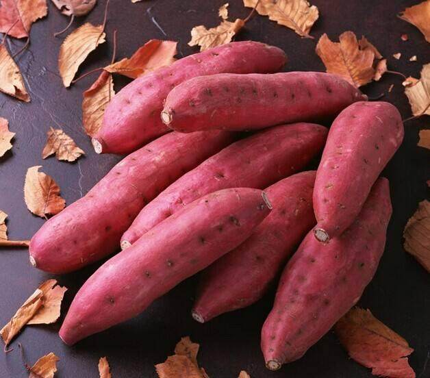 地瓜和红薯，傻傻分不清楚，它们之间有什么区别？又有什么关系呢