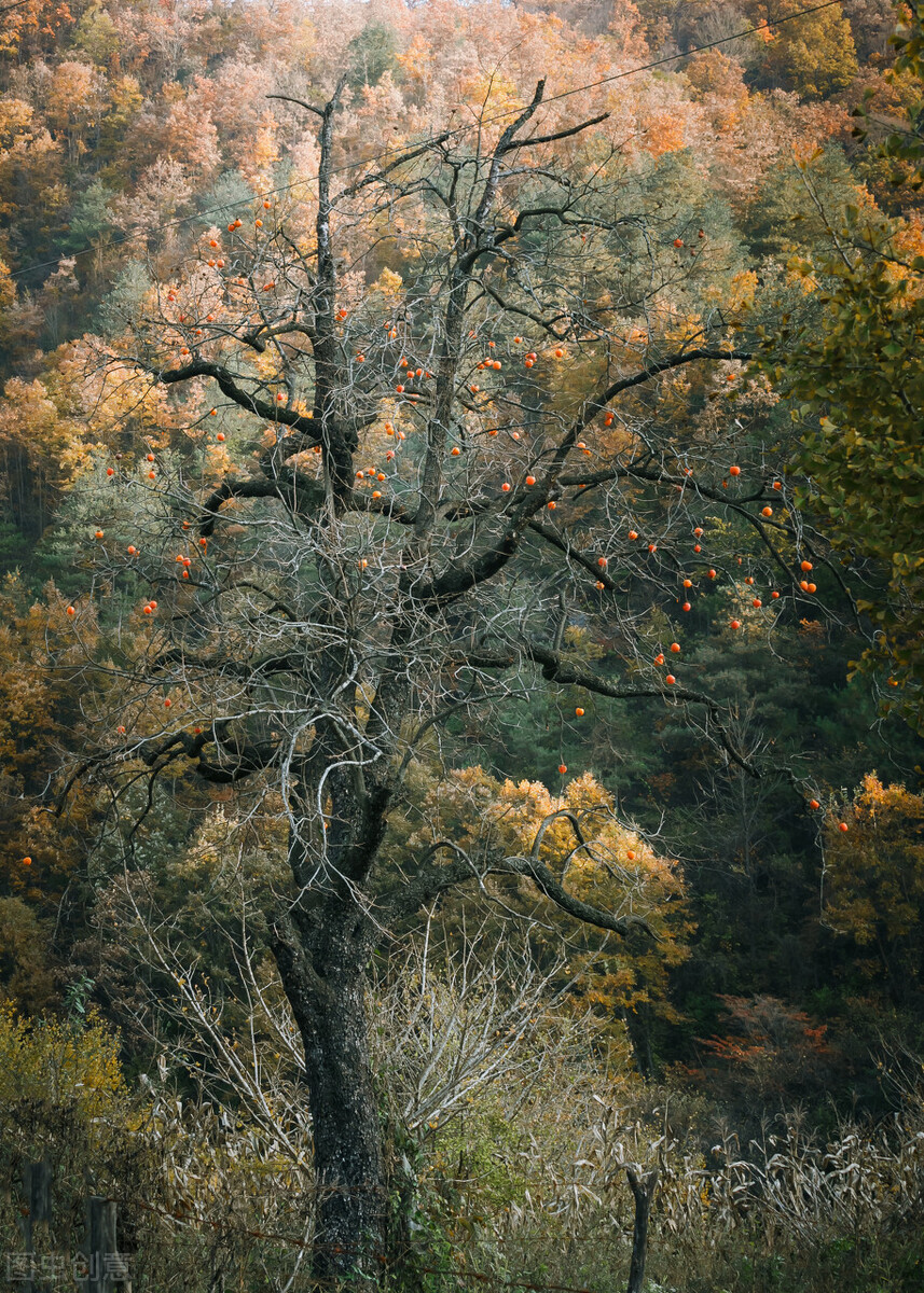 10月这12个颜值高地，已补好了妆，将向世人“卖弄”最美一面