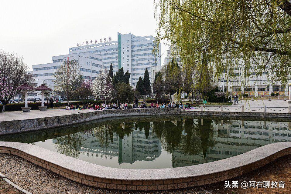 秦皇岛除了燕山大学，还有哪些本土本科高校？