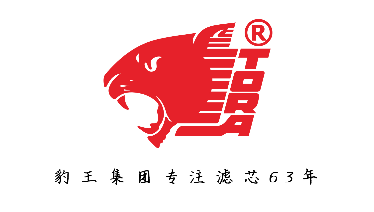 2021年空气滤清器十大品牌排行榜