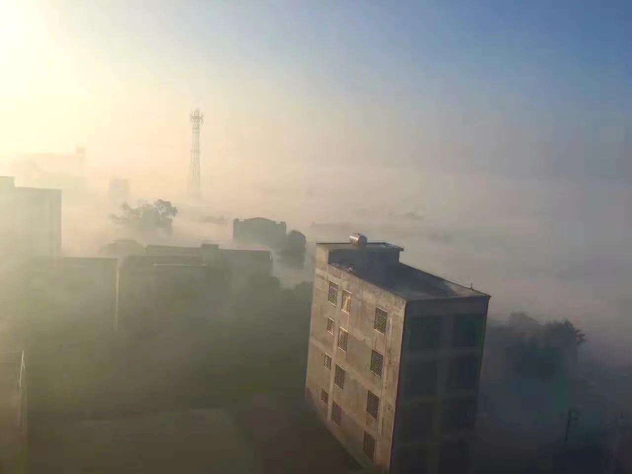 菠萝的海，香飘四海，来这里看广东最美的田园风光