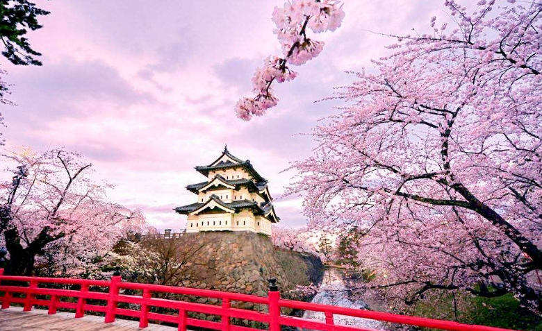 985大学排名出炉，天大和武大并列第10，榜首你能猜到吗