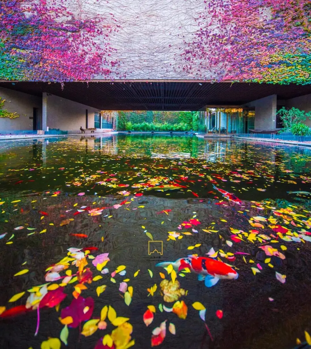 天津大学，为什么是中国最有“侠气”的大学？