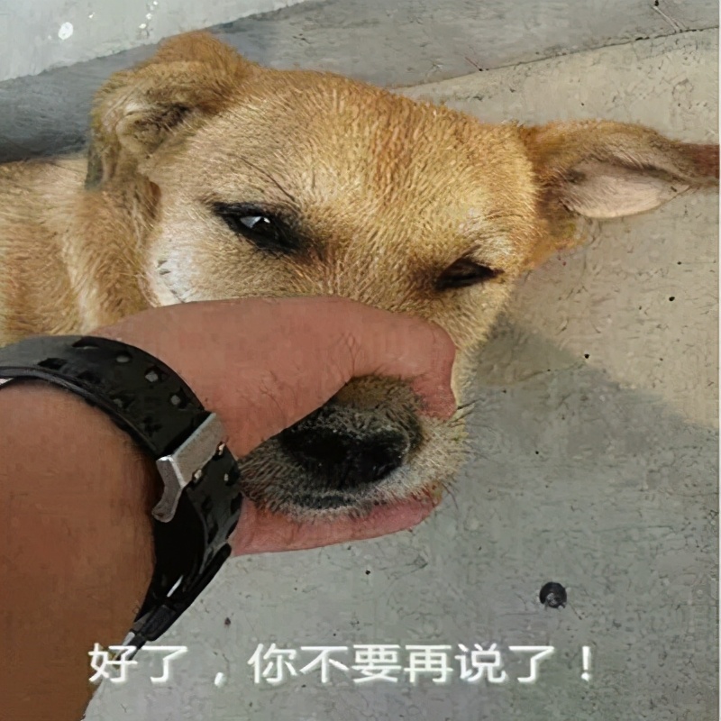 试用期内应当签试用合同还是劳动合同？